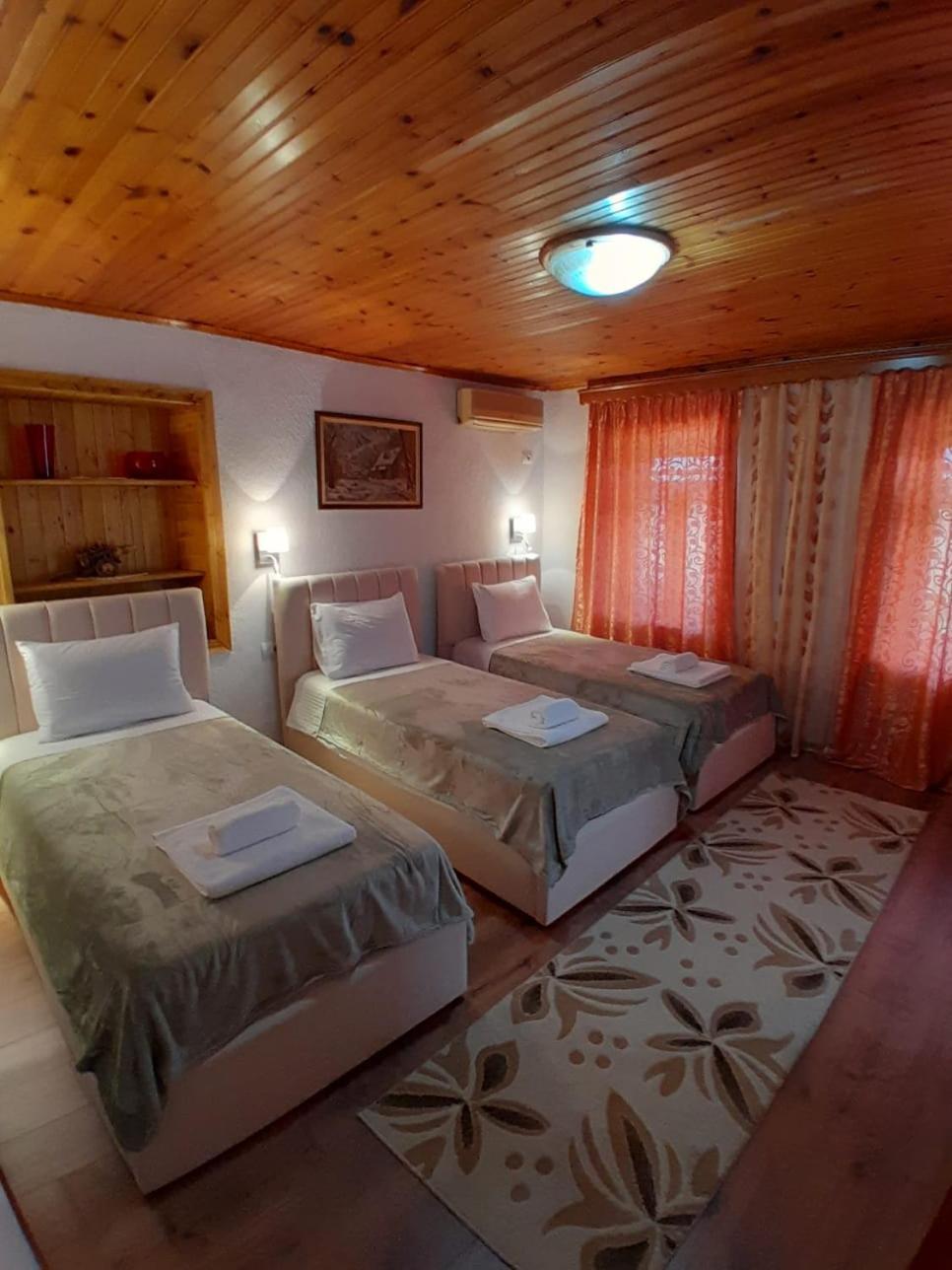 Guest House Ejona ジロカストラ エクステリア 写真
